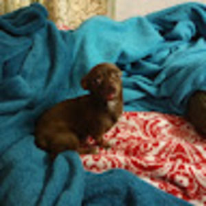 Meet your Posher, Madelin